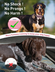 DOGLinsen remote control setup shows multi-dog training with memory.