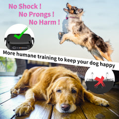 DOGLinsen vibration collar showing tone option for gentle feedback at distance