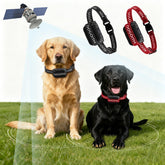 DOGOITM boundary setup shows precise GPS boundary for safe backyard play