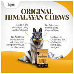 Dense texture close-up supports long-lasting chewing for dogs