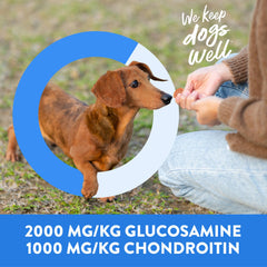 Dogswell jerky lists glucosamine and chondroitin for joint-friendly snacking.
