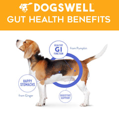Dogswell Gut Health Slices Chicken training treat: tasty reward for good behavior
