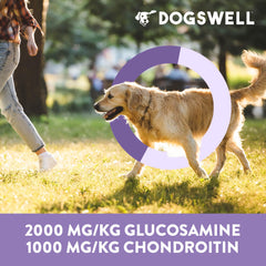 Dogswell high-protein chicken snack highlighted on label for active pups.