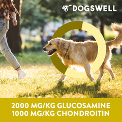 Dogswell Hip & Joint Grillers glucosamine and chondroitin—joint health support in bites