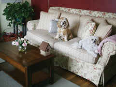 DOGTEK three sensors provide wide detection for barking up to 50 feet.