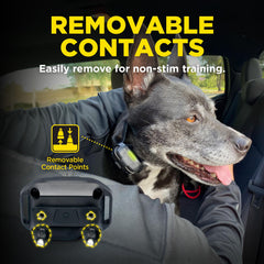 Dogtra 1900X 3/4 mile range image showing extended training reach for recall.