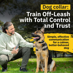 Dogtra 1900X transmitter shown for consistent remote training sessions