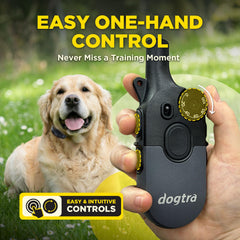 Dogtra 200iQ orange strap collar ready for daily training sessions.