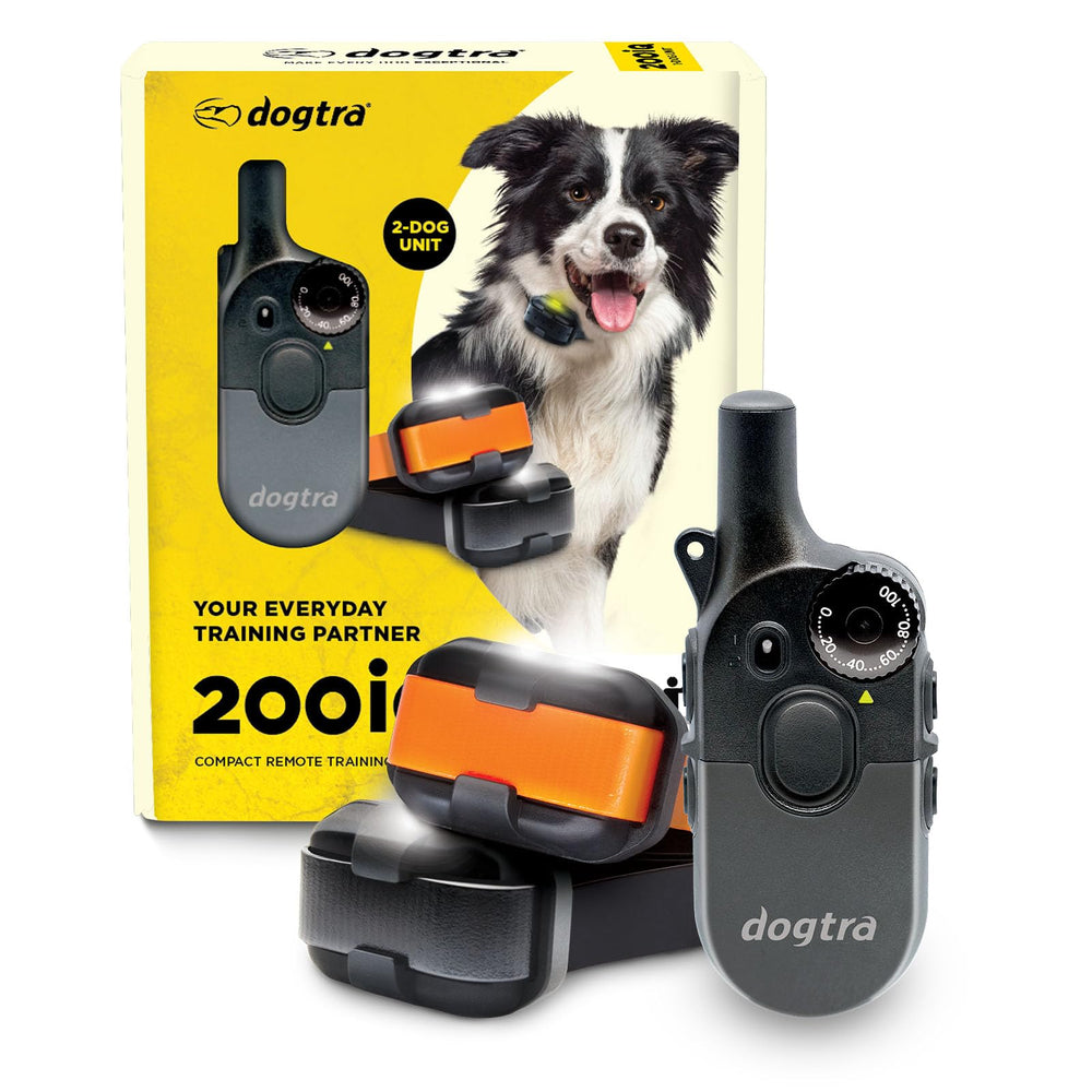 Dogtra 200iQ remote in hand showing one-handed training control.