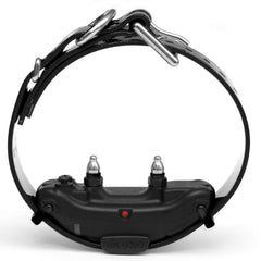 Dogtra ARC long-range capability for field training and obedience work