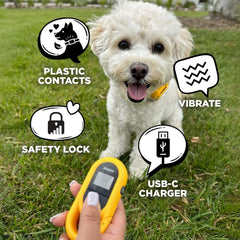 Dogtra CUE Yellow receiver waterproof for rain and outdoor training.