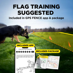 Dogtra fence system guide demonstrates setup and boundary marking for safe outdoor sessions.