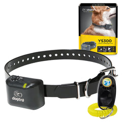 Dogtra YS300 no bark collar on a small dog, gentle bark control.