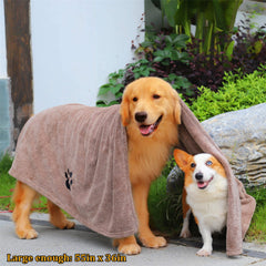 Dogvingpk drying a dog after bath with oversized towel