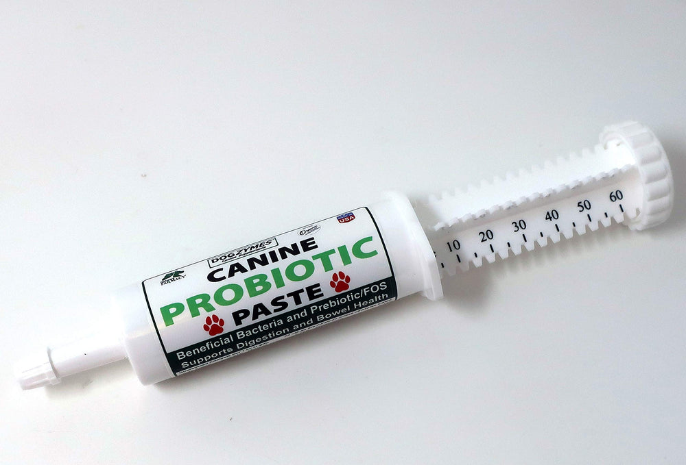 Dogzymes Canine Probiotic Paste bottle, convenient on-the-go gut support.