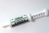 Dogzymes Canine Probiotic Paste bottle, convenient on-the-go gut support.