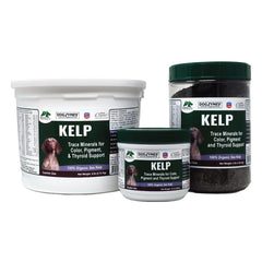 Dogzymes Organic Norwegian Kelp packaging label emphasizes organic certification and iodine-rich nutrition for glands