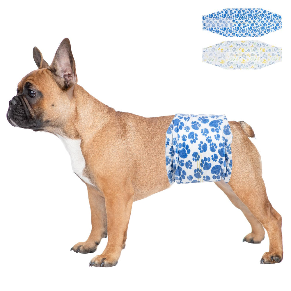 Dono dog diapers in blue paw pattern protect small dogs during walks.