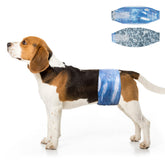 Dono Male Dog Wraps side view showing secure fit for male dogs