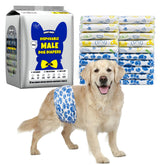 Dono Male Dog Diapers 60ct with ultra-absorbent core for reliable protection indoors