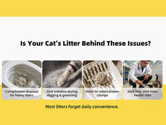 DOOBIT tofu litter dust-free pellets help keep littering down and air cleaner.