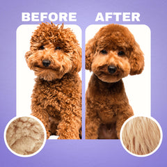 DOOD WOOF conditioner-dispense highlights detangling and moisture benefits.