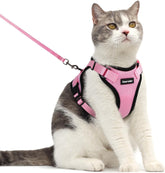 Dooradar cat harness with back D-ring leash for secure outdoor walks