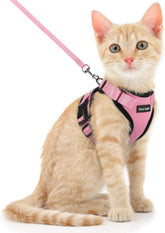 Dooradar cat harness with back D-ring for secure leash attachment.