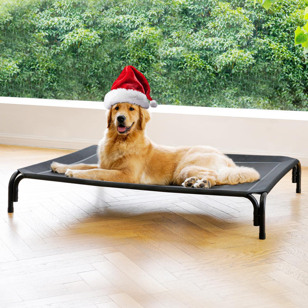 DOPEDIO elevated dog bed outdoors with tool-free assembly, ready in minutes.