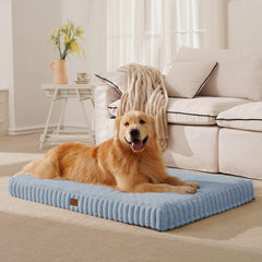 DOPEDIO orthopedic bed with egg-crate foam supporting large dogs.