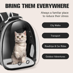 Dorphy carrier backpack nine-hole air mesh promotes airflow for comfortable rides.