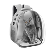 Dorphy Space Capsule cat carrier backpack shows travel-friendly design for pets.