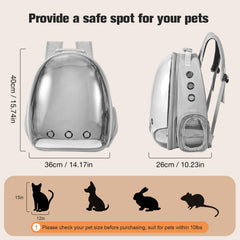 Dorphy transparent window design allows pets to observe surroundings for comfort.