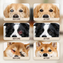 Dotkara Optikind Vision Drops liquid form blends easily with dog food.