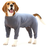 Dotoner dog recovery suit abdominal protection after surgery.