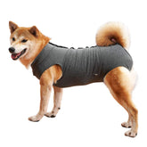 Dotoner dog recovery suit covers the abdominal area for wound protection