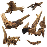 DoubleWood driftwood branch 2-4 inch for natural aquarium décor and hiding spaces.