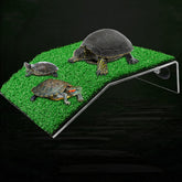 DoubleWood Lawn Turtle Basking Platform on tank surface promotes sun exposure and secure resting.