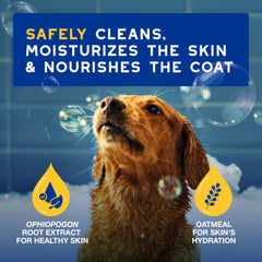Douxo Skin and Coat SPA shampoo foam ready for hydrating cleansing.