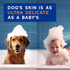 DOUXO Skin & Coat SPA close up of silky, detangled coat