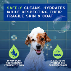 DOUXO Skin & Coat SPA rich lather for soft plush puppy coats