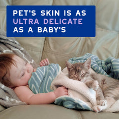 Cat with a soft, radiant coat after using DOUXO Skin & Coat SPA
