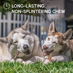 Downtown Pet Supply low odor dog chew suitable for indoor use