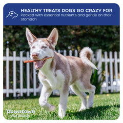 Downtown Pet Supply USA-sourced label on bully sticks, high-quality dog treat.