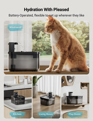 DownyPaws 84oz capacity keeps cats hydrated longer
