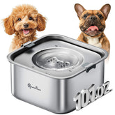DownyPaws no-spill water bowl stainless steel overview for mess-free hydration.