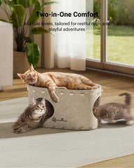DownyPaws PeekaPurr interior space designed for cozy lounging and safe play.