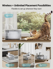 DownyPaws motion-sensor activation encourages cat drinking when approached.