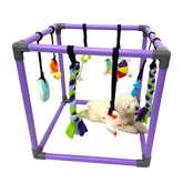 DOZZOPET Puppy Play Gym with 8 hanging toys for small dogs boosts enrichment and play.