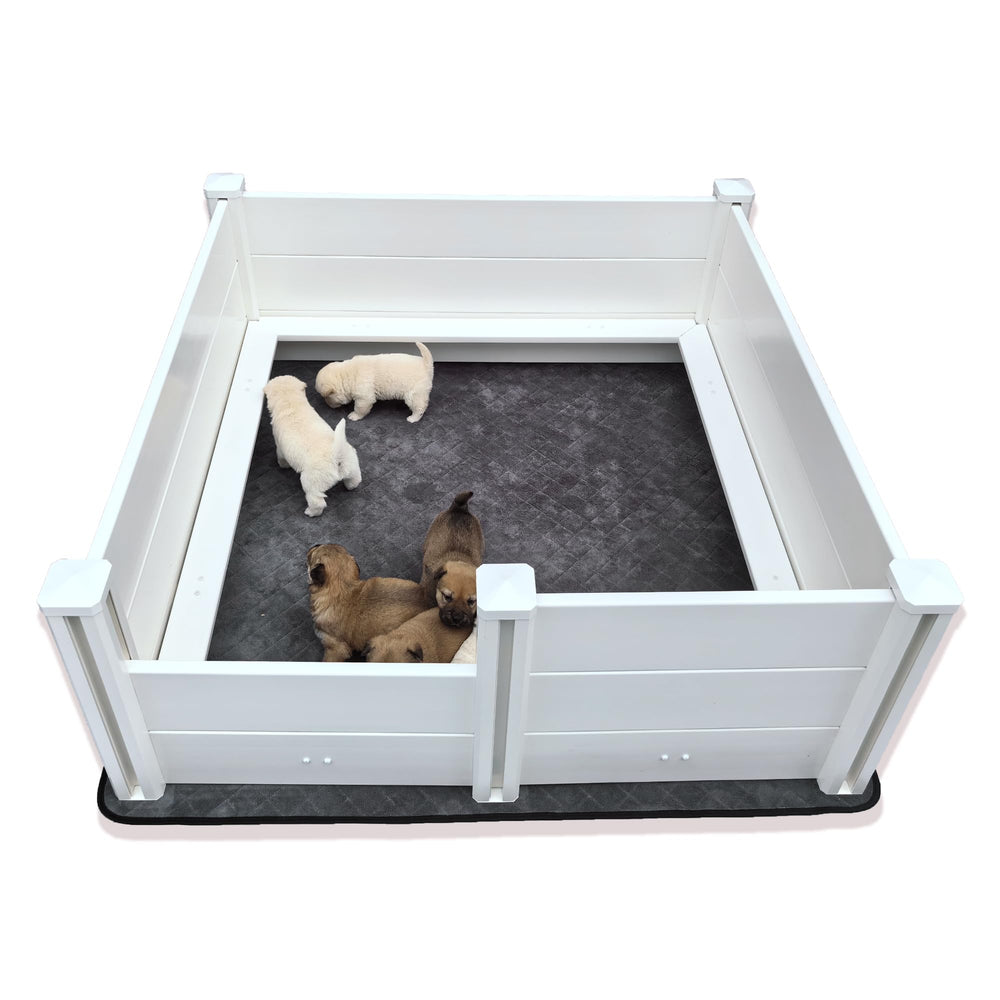 DOZZOPET whelping box overview showing ample space for dam and puppies